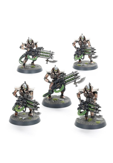 W40k Necrons: Inmortals
